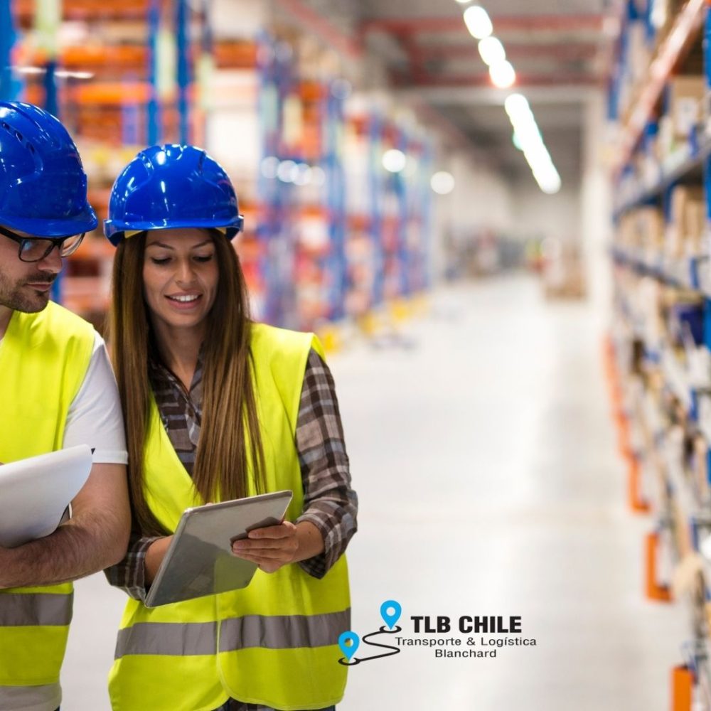 Diseño sin título (18)